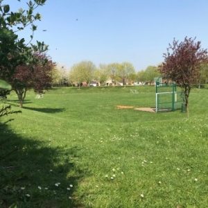 New Green Outdoor Space