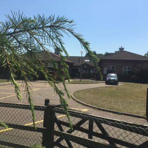 119450602_322110638865940_6326610259692783122_n